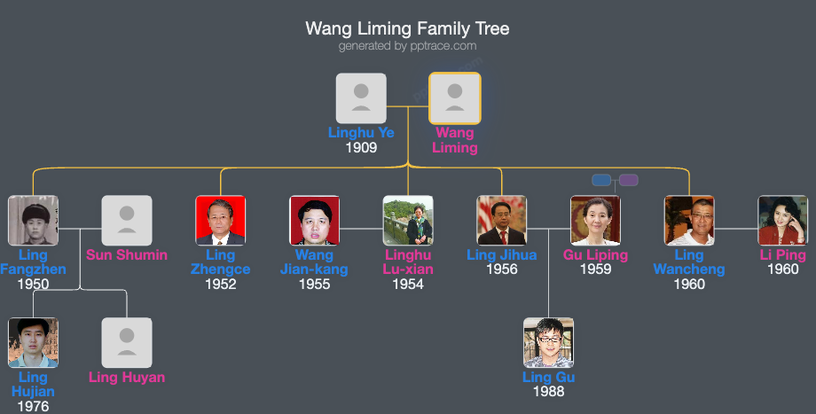 Wang Liming family tree overview