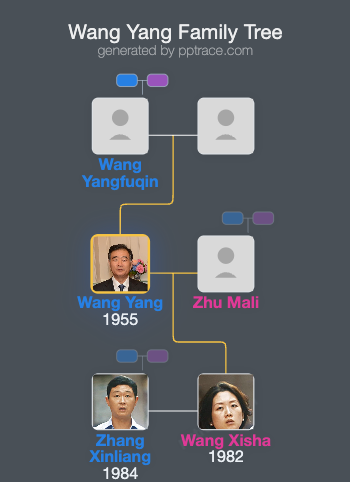 Wang Yang family tree overview