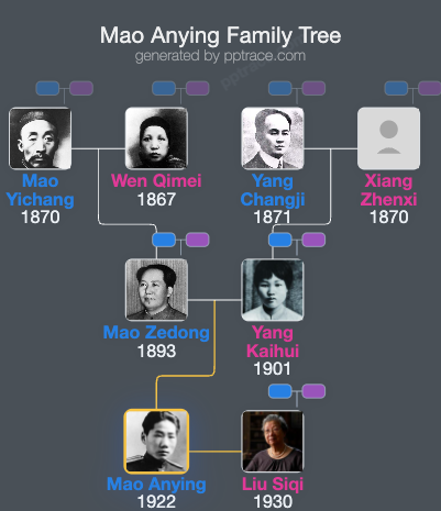 Mao Anying family tree overview