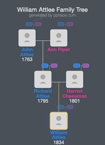 William Attlee family tree overview