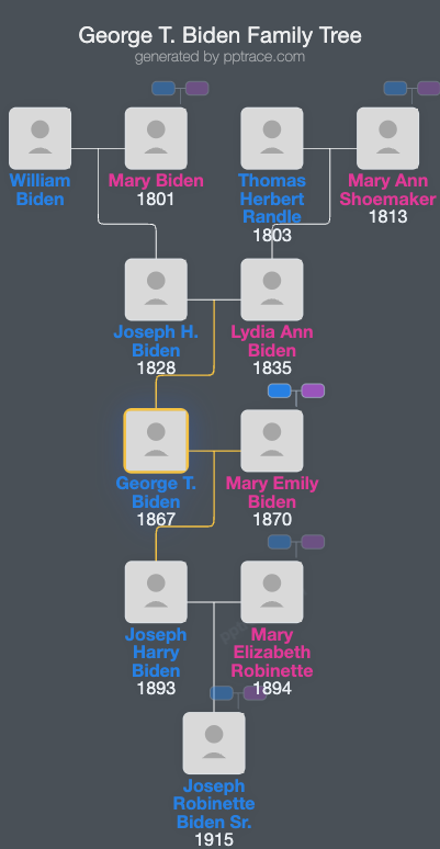 George T. Biden family tree overview