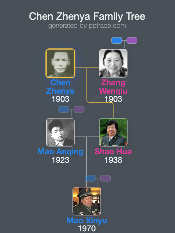 Chen Zhenya family tree overview