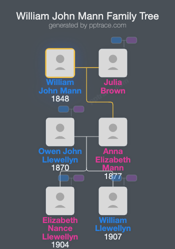William John Mann family tree overview
