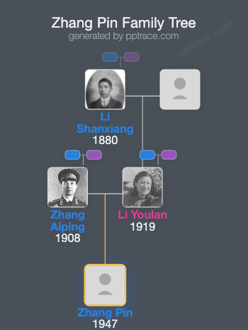 Zhang Pin family tree overview