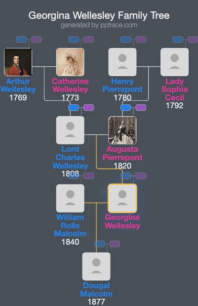 Georgina Wellesley family tree overview