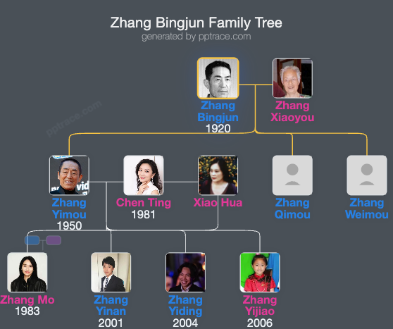 Zhang Bingjun family tree overview