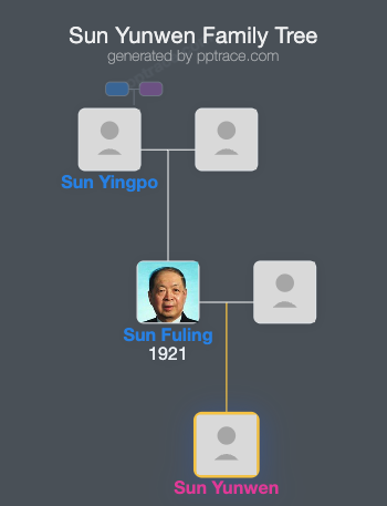 Sun Yunwen family tree overview