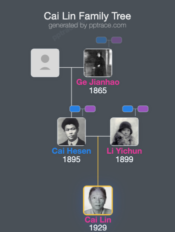 Cai Lin family tree overview