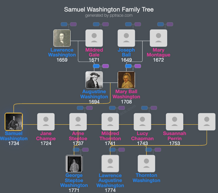 Samuel Washington family tree overview