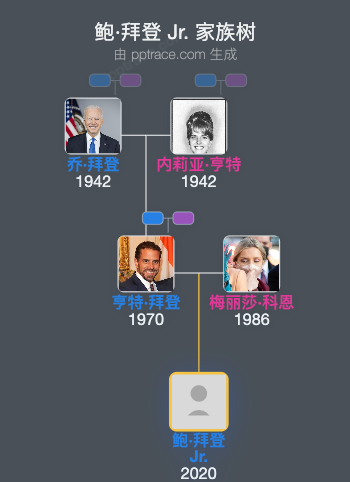 鲍·拜登 Jr.家族树全览