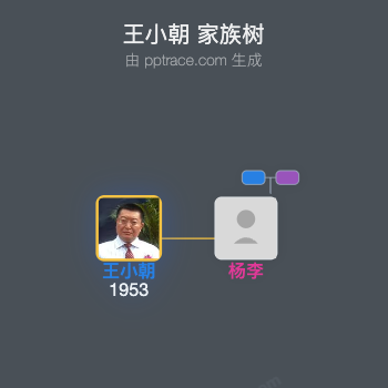 王小朝 家族树全览