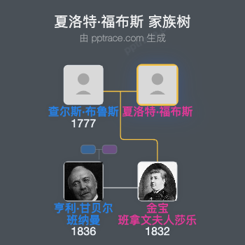 夏洛特·福布斯家族树全览
