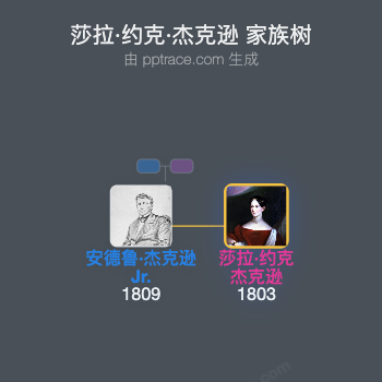 莎拉·约克·杰克逊家族树全览