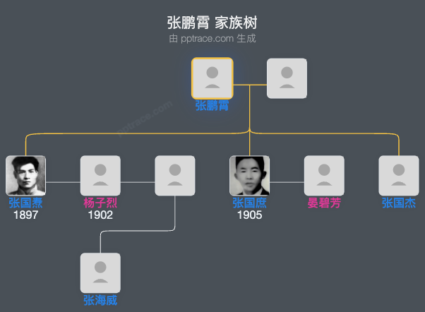 张鹏霄 家族树全览