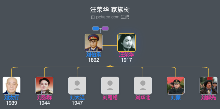 汪荣华 家族树全览