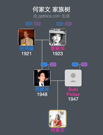 何家文 家族树全览