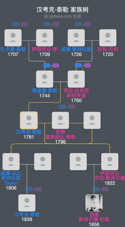 汉考克·泰勒家族树全览