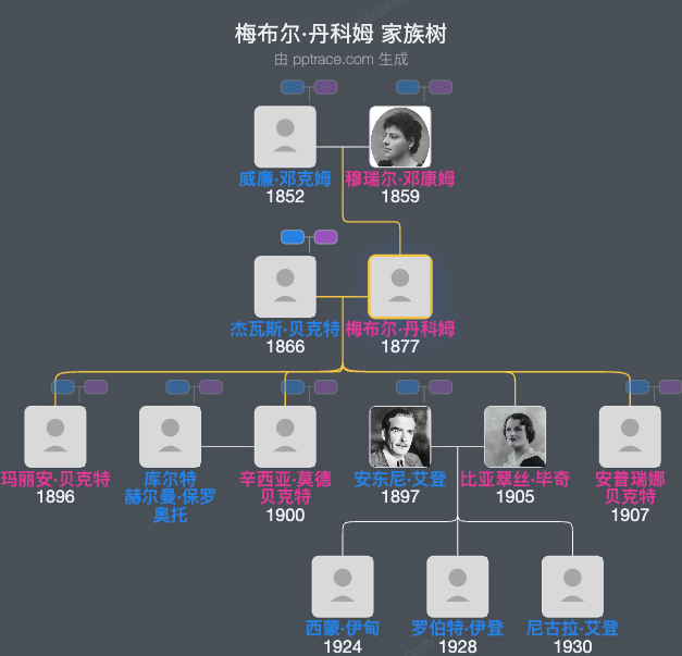 梅布尔·丹科姆家族树全览