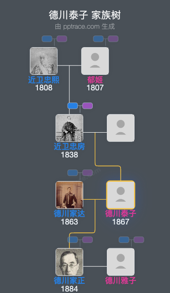 德川泰子家族树全览