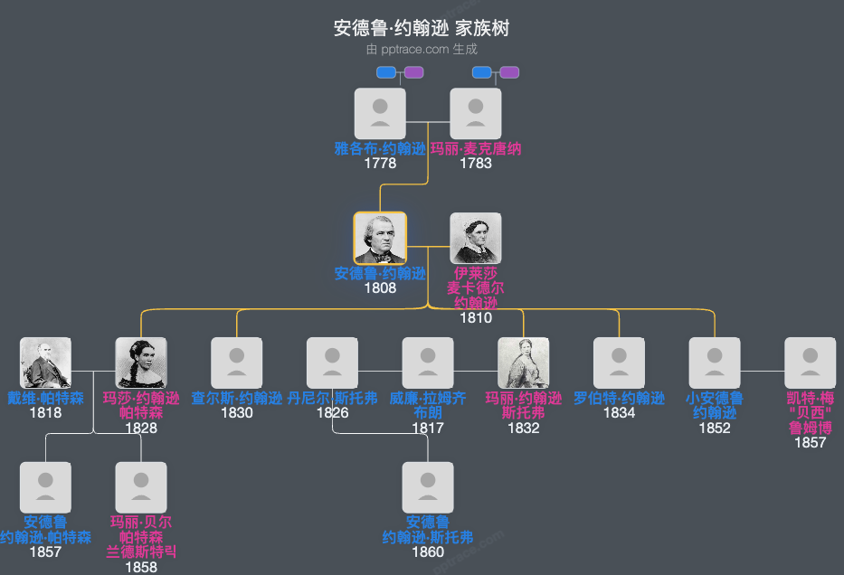 安德鲁·约翰逊家族树全览