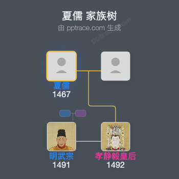 夏儒家族树全览