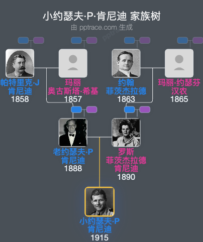 小约瑟夫·P·肯尼迪家族树全览