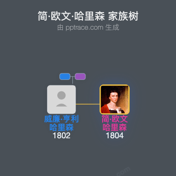 简·欧文·哈里森家族树全览
