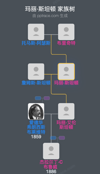 玛丽·斯坦顿家族树全览