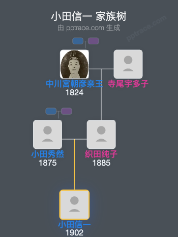 小田信一家族树全览