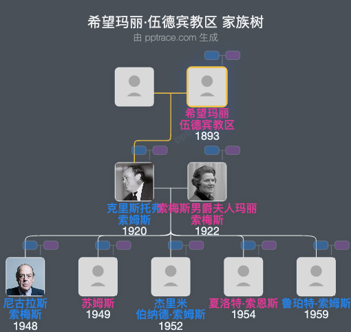 希望玛丽·伍德宾教区家族树全览