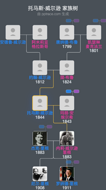 托马斯·威尔逊家族树全览