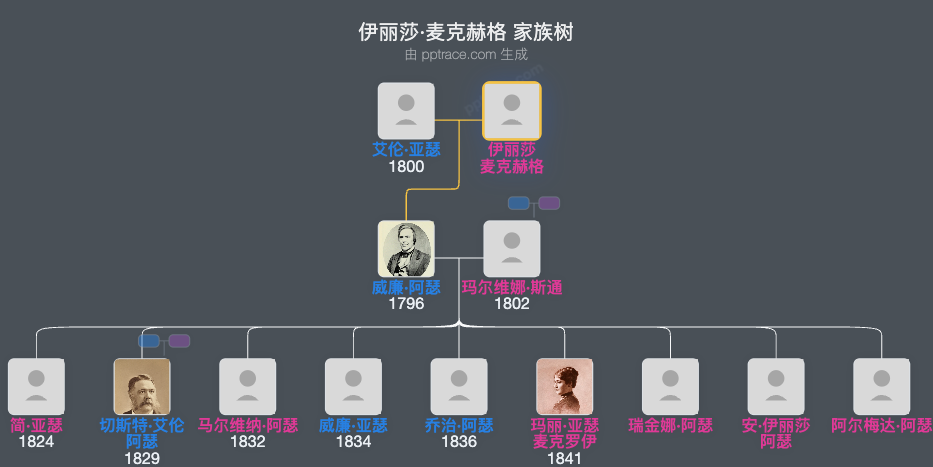 伊丽莎·麦克赫格家族树全览
