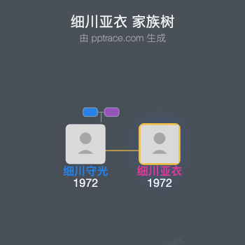 细川亚衣家族树全览