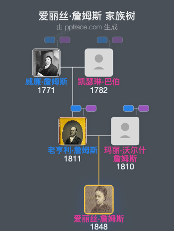爱丽丝·詹姆斯家族树全览