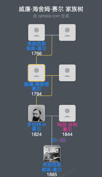 威廉·海舍姆·赛尔家族树全览
