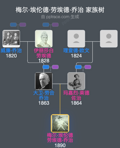 梅尔·埃伦德·劳埃德·乔治家族树全览