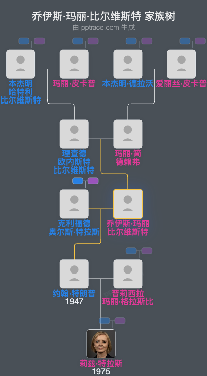 乔伊斯·玛丽·比尔维斯特家族树全览