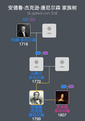 安德鲁·杰克逊·唐尼尔森家族树全览