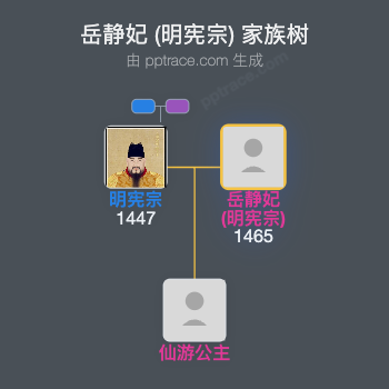 岳静妃 (明宪宗)家族树全览
