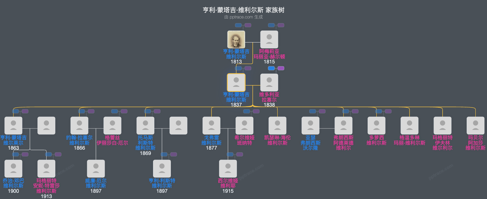 亨利·蒙塔吉·维利尔斯家族树全览