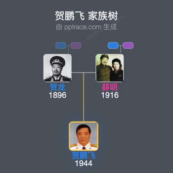 贺鹏飞 家族树全览