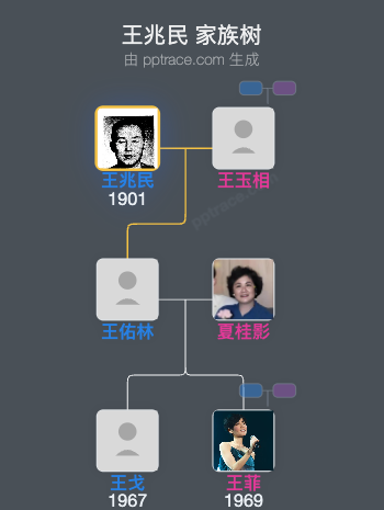 王兆民 家族树全览