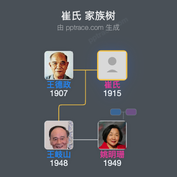 崔氏 家族树全览