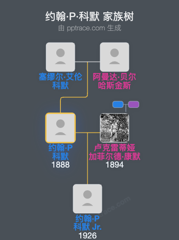 约翰·P·科默家族树全览