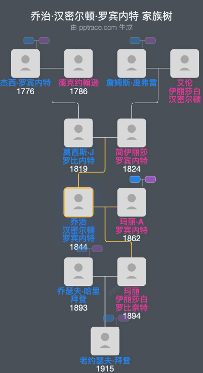 乔治·汉密尔顿·罗宾内特家族树全览