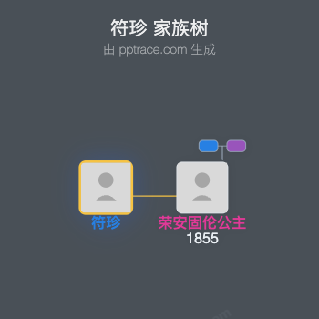 符珍家族树全览