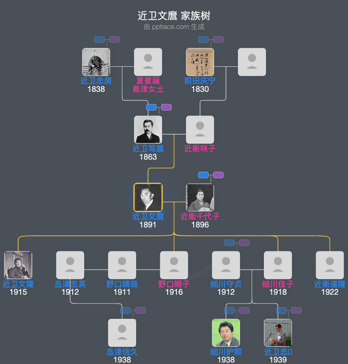 近卫文麿家族树全览