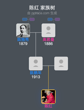 陈红 家族树全览