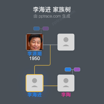 李海进 家族树全览