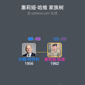 塞莉娅·哈维家族树全览